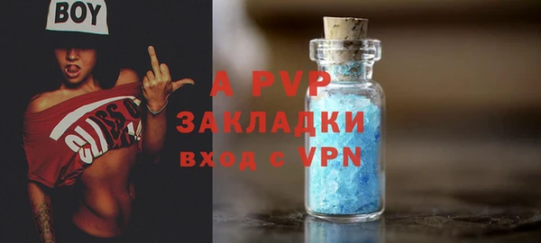 крисы Абаза