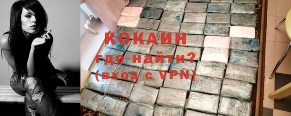 крисы Абаза