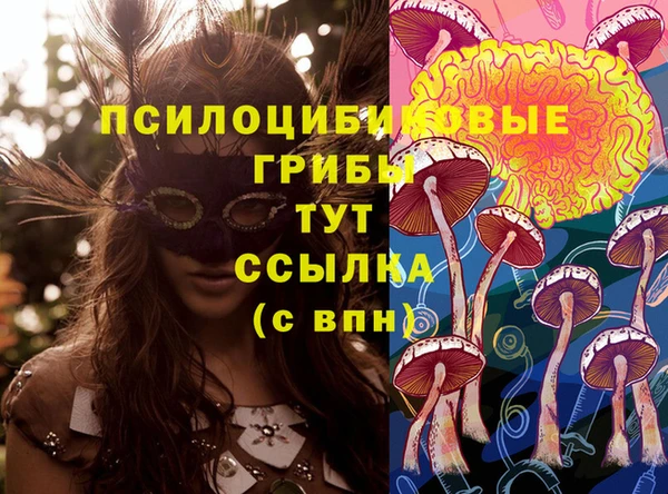 крисы Абаза