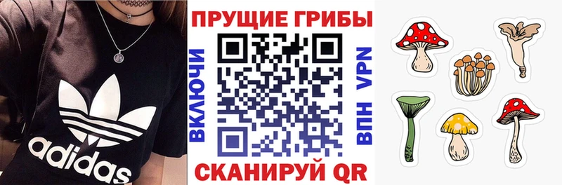 Псилоцибиновые грибы мухоморы  как найти закладки  Цимлянск 